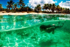 Dive Boat Tour on Catalina Bayahibe Island