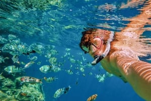 Dive Boat Tour on Catalina Bayahibe Island