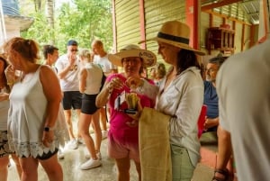 Dominican Culture & Buggy Family Adventure from Punta Cana