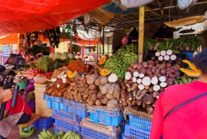 Dominican Culture & Buggy Family Adventure from Punta Cana