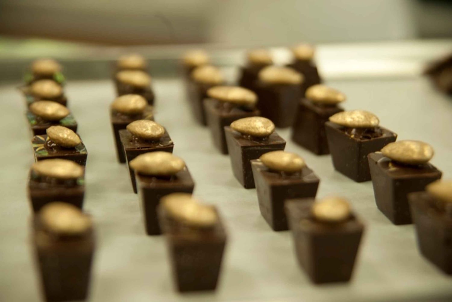 Den Dominikanske Republik: 3-timers tur for chokoladeelskere