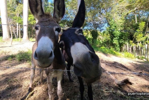 Safari op het platteland van de Dominicaanse Republiek vanuit Puerto Plata