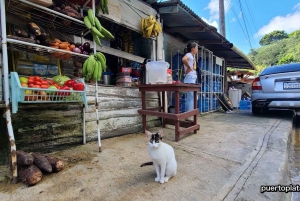 Passeio de safári pelo campo na República Dominicana saindo de Puerto Plata