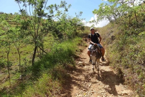 El Limón: Tour a cavallo delle cascate di El Limón