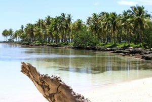 Dominikanska republiken: Dagsutflykt till stranden på Samana Peninsula