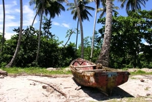 República Dominicana: Viagem de 1 dia à praia na Península de Samana