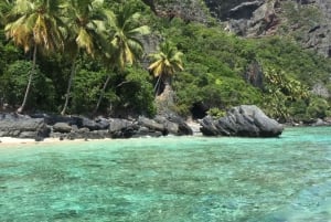 Dominikanische Republik: Ganztägige Tagestour zum Strand auf der Halbinsel Samana