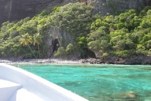 República Dominicana: Excursión de un día entero a la playa de la Península de Samaná