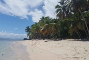 Dominikanische Republik: Ganztägige Tagestour zum Strand auf der Halbinsel Samana