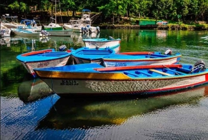Dominican Republic: Guided 6-hour Gri-Gri Lagoon Tour