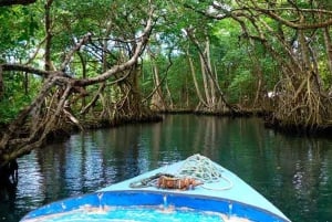 Dominican Republic: Guided 6-hour Gri-Gri Lagoon Tour