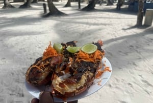 Dominican Republic: Saona Sailing Tour with Lunch and Drinks