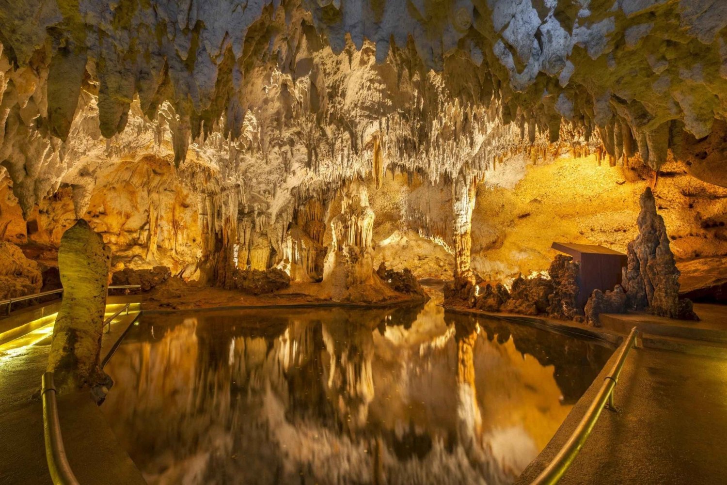 Tour de medio día: Fábrica Ron Barceló Exp. desde Santo Domingo