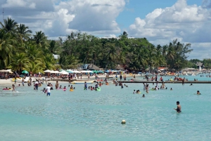 Tour de medio día: Fábrica Ron Barceló Exp. desde Santo Domingo