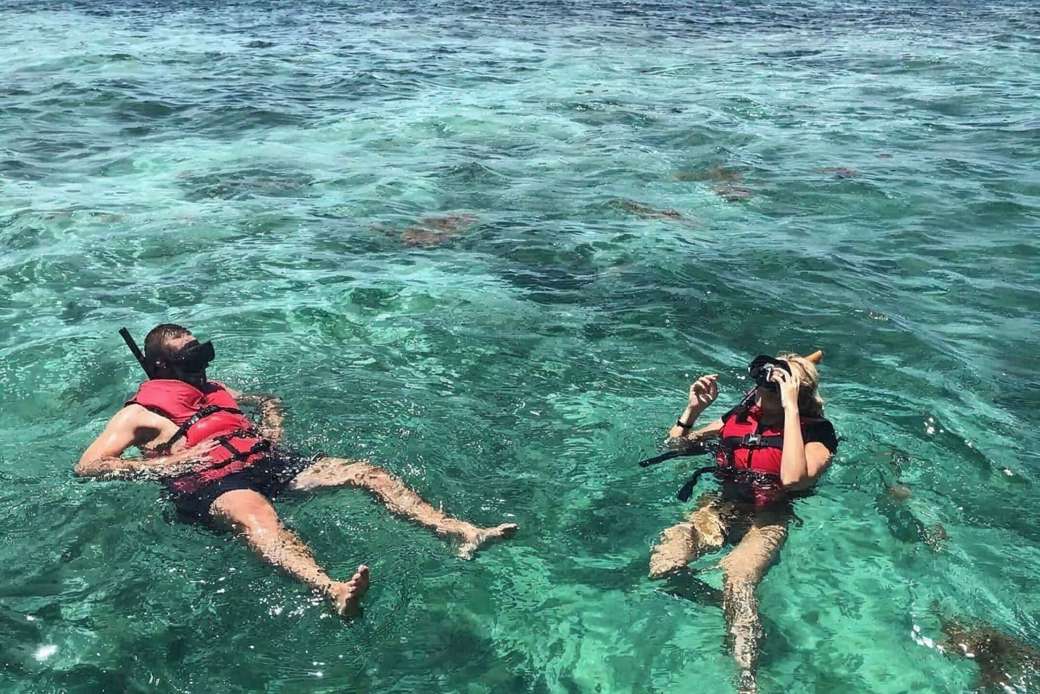 Öko-Schnellboot-Schnorchelerlebnis ab Punta Cana