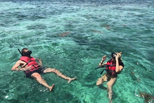 Öko-Schnellboot-Schnorchelerlebnis ab Punta Cana