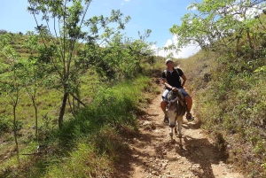 El Limón Wasserfall Reiten Tour