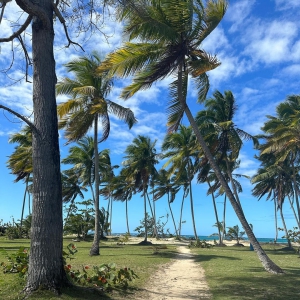 Empyrean Tropical Wellness Hotel