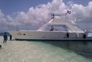 カタリナ島の特別ツアー（送迎と昼食付き）