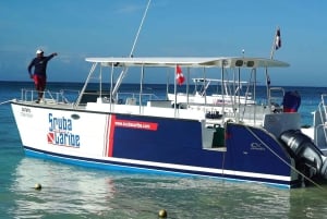 カタリナ島の特別ツアー（送迎と昼食付き）