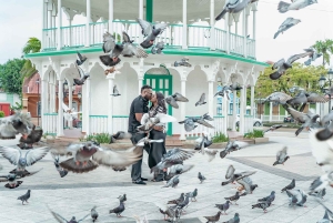 Ekskluzywna sesja zdjęciowa w Puerto Plata z prywatnym odbiorem