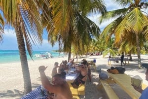 Excursión a Isla Saona desde Punta Cana (Todo incluido).