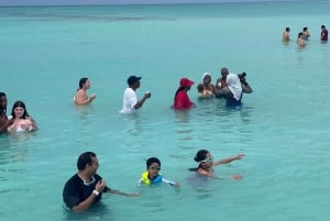 Excursión a Isla Saona desde Punta Cana (Todo incluido).