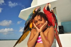 Excursión a Isla Saona desde Punta Cana (Todo incluido).