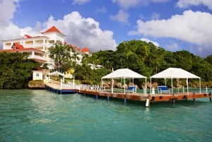 Ausflug nach Samaná, zum El Limón Wasserfall und zur Bacardi Insel von Punta Cana aus