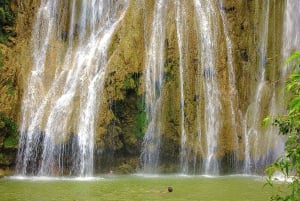 Excursion à Samaná, à la cascade d'El Limón et à l'île de Bacardi depuis Punta Cana