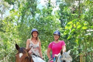 Excursie naar Samaná, El Limón waterval en Bacardi eiland vanuit Punta Cana