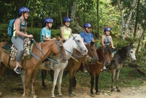 Excursie naar Samaná, El Limón waterval en Bacardi eiland vanuit Punta Cana