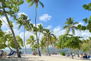 Ausflug nach Samaná, zum El Limón Wasserfall und zur Bacardi Insel von Punta Cana aus