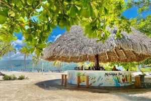 Excursion à Samaná, à la cascade d'El Limón et à l'île de Bacardi depuis Punta Cana