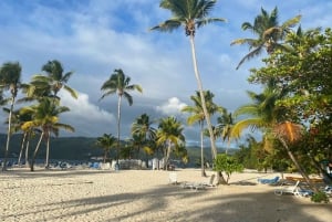 Escursione a Samaná, alla Cascata El Limón e all'Isola Bacardi da Punta Cana