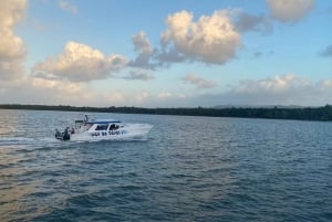 Escursione a Samaná, alla Cascata El Limón e all'Isola Bacardi da Punta Cana