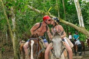 Ausflug nach Samaná, zum El Limón Wasserfall und zur Bacardi Insel von Punta Cana aus