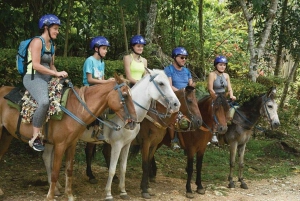 Excursie naar Samaná, El Limón waterval en Bacardi eiland vanuit Punta Cana