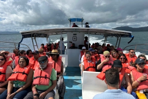 Excursie naar Samaná, El Limón waterval en Bacardi eiland vanuit Punta Cana