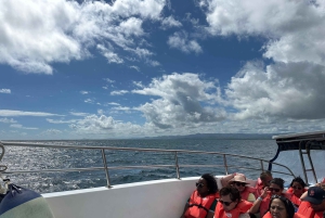 Excursie naar Samaná, El Limón waterval en Bacardi eiland vanuit Punta Cana