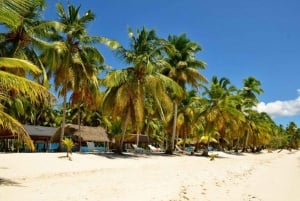 Utflukt til Saona Island fra Punta Cana med lunsj og åpen bar