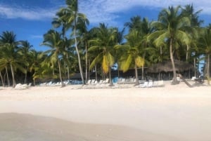 Ausflug zur Insel Saona von Punta Cana aus mit Mittagessen und offener Bar