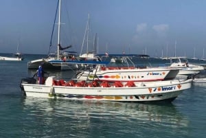 Excursão à Ilha Saona a partir de Punta Cana com almoço e bar aberto