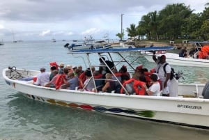 Ausflug zur Insel Saona von Punta Cana aus mit Mittagessen und offener Bar