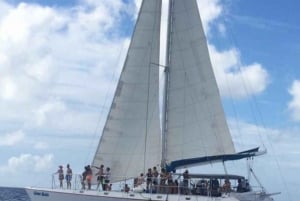 Excursión a Isla Saona desde Punta Cana con almuerzo y bar libre