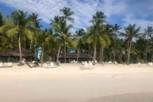 Excursion à l'île de Saona depuis Punta Cana avec déjeuner et open bar