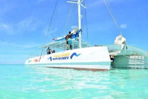 Excursion to Saona Island from Punta Cana with lunch and free bar.