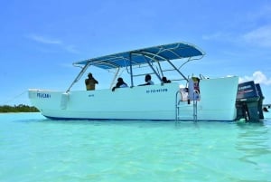 Udflugt til Saona Island fra Punta Cana med frokost og åben bar