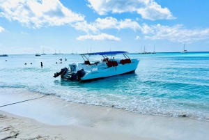 Excursion à l'île de Saona : Paradis tropical avec déjeuner