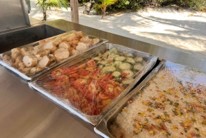 Excursion à l'île de Saona : Paradis tropical avec déjeuner